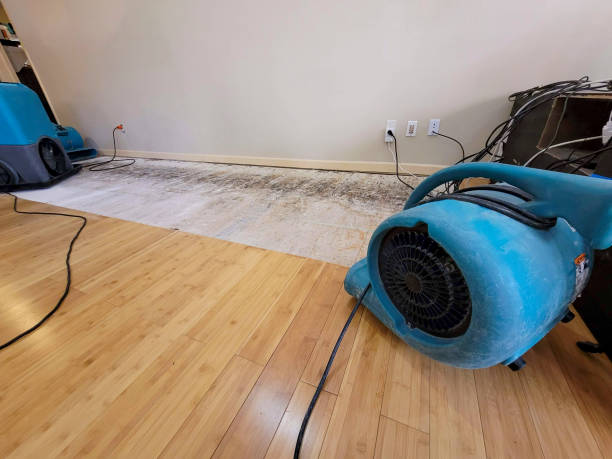 Professional Ceiling Water Damage Repair technician working in Wildomar, CA